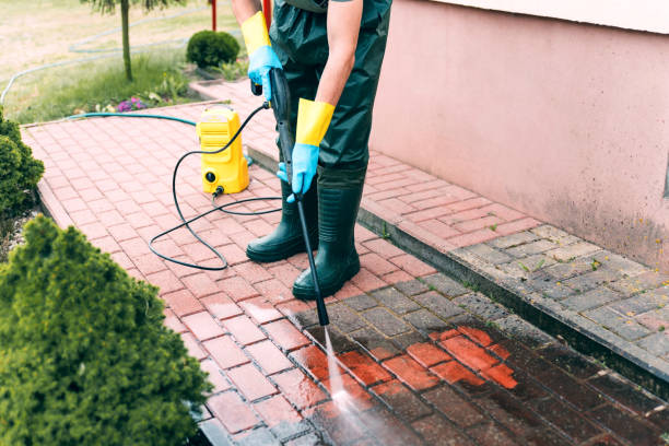 Best Patio and Deck Pressure Washing  in Holtsville, NY